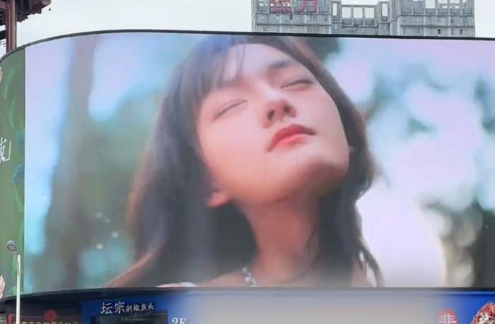 LED display screen