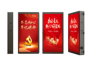 TL512X1024 Double Sided LED Pole Screen