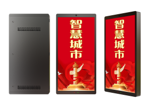 TL512X1024 Single Sided LED Pole Screen